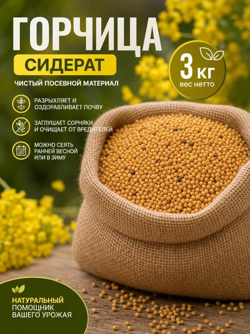 Горчица белая семена сидерат 3 кг, 3 кг