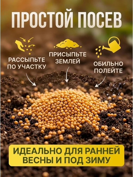Горчица белая семена сидерат 3 кг, 1 кг, фото 2