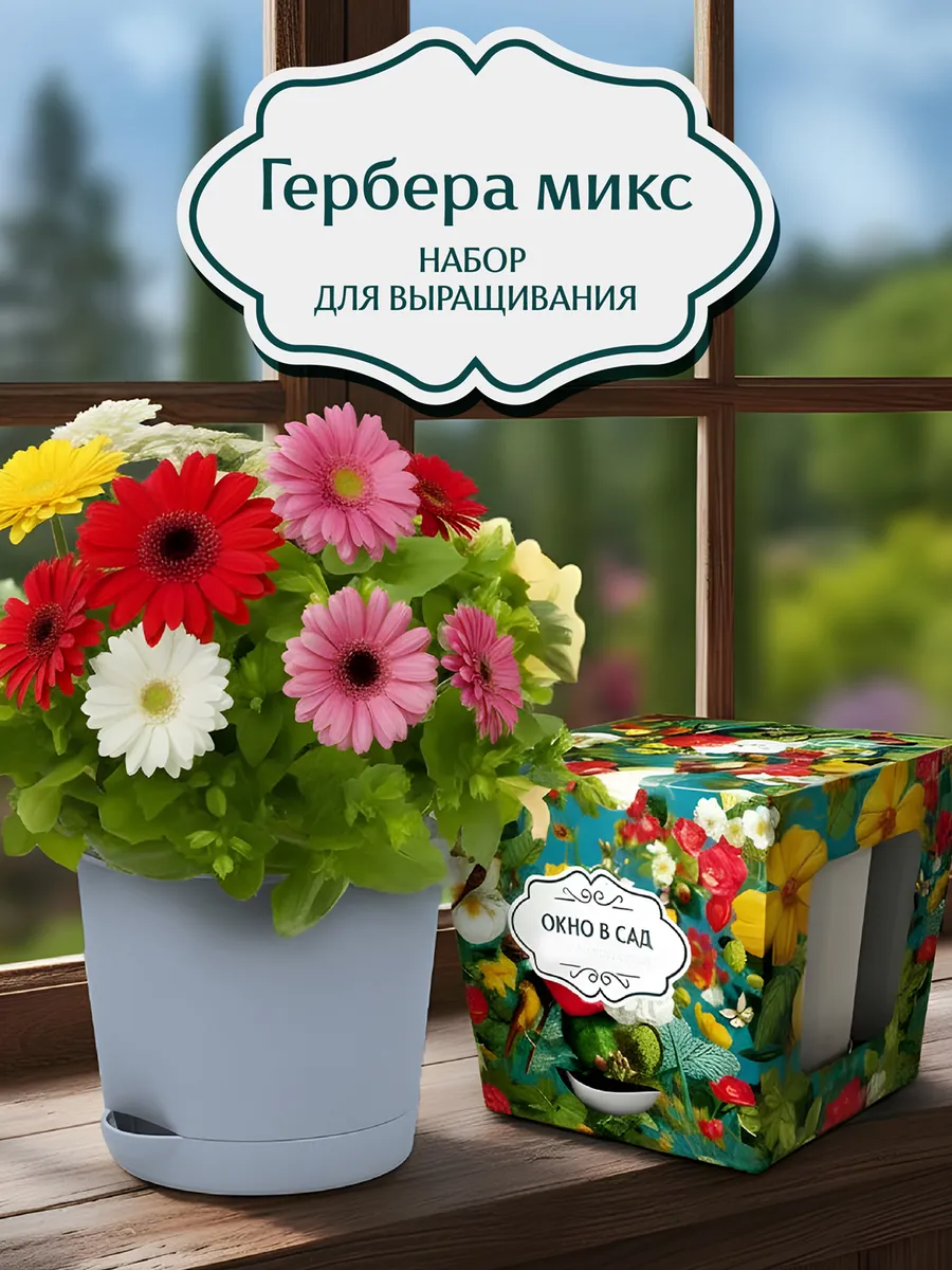 Гербера микс Набор для выращивания