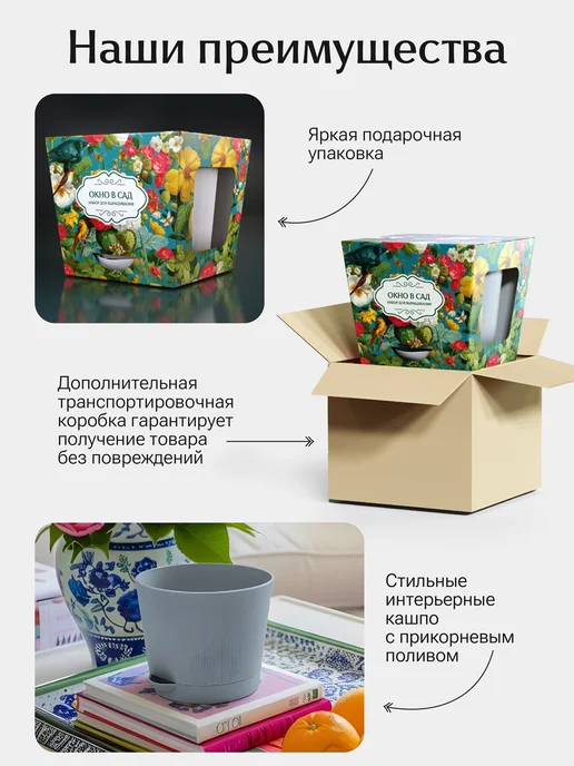 Окно в сад Капуста декоративная микс Набор для выращивания, вариант, фото 3