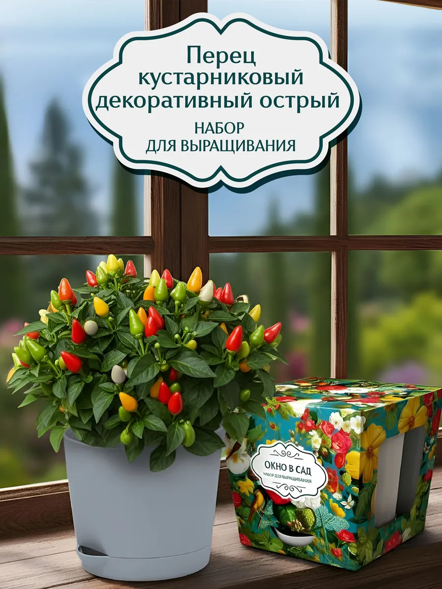 Перец кустарниковый декоративный Набор для выращивания