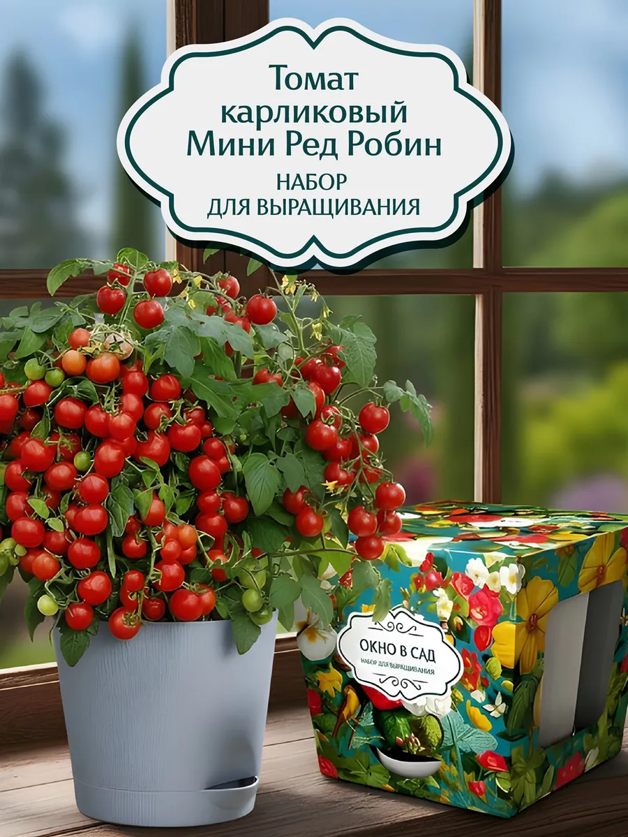 Томат карликовый Мини Ред Робин Набор для выращивания