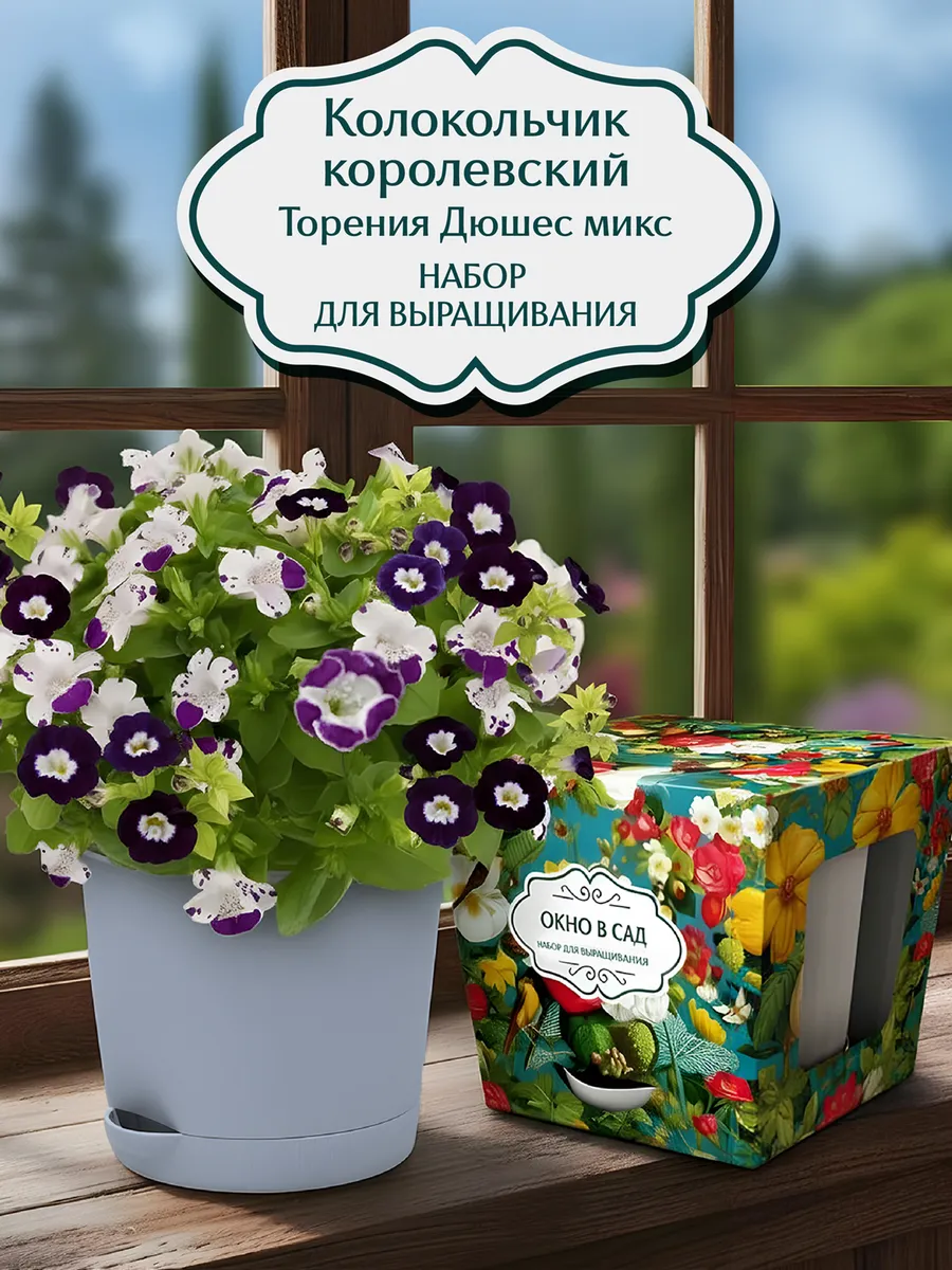 Колокольчик королевский Набор для выращивания