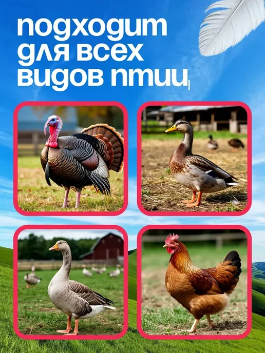 HappyMo Перосъемная машина для птицы, черный, фото 4