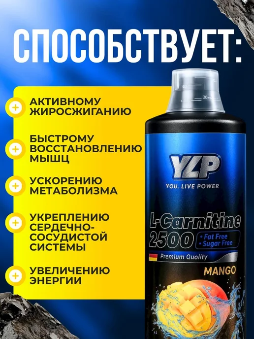 YLP Л-Карнитинн жиросжигатель для похудении, 1 л, фото 2