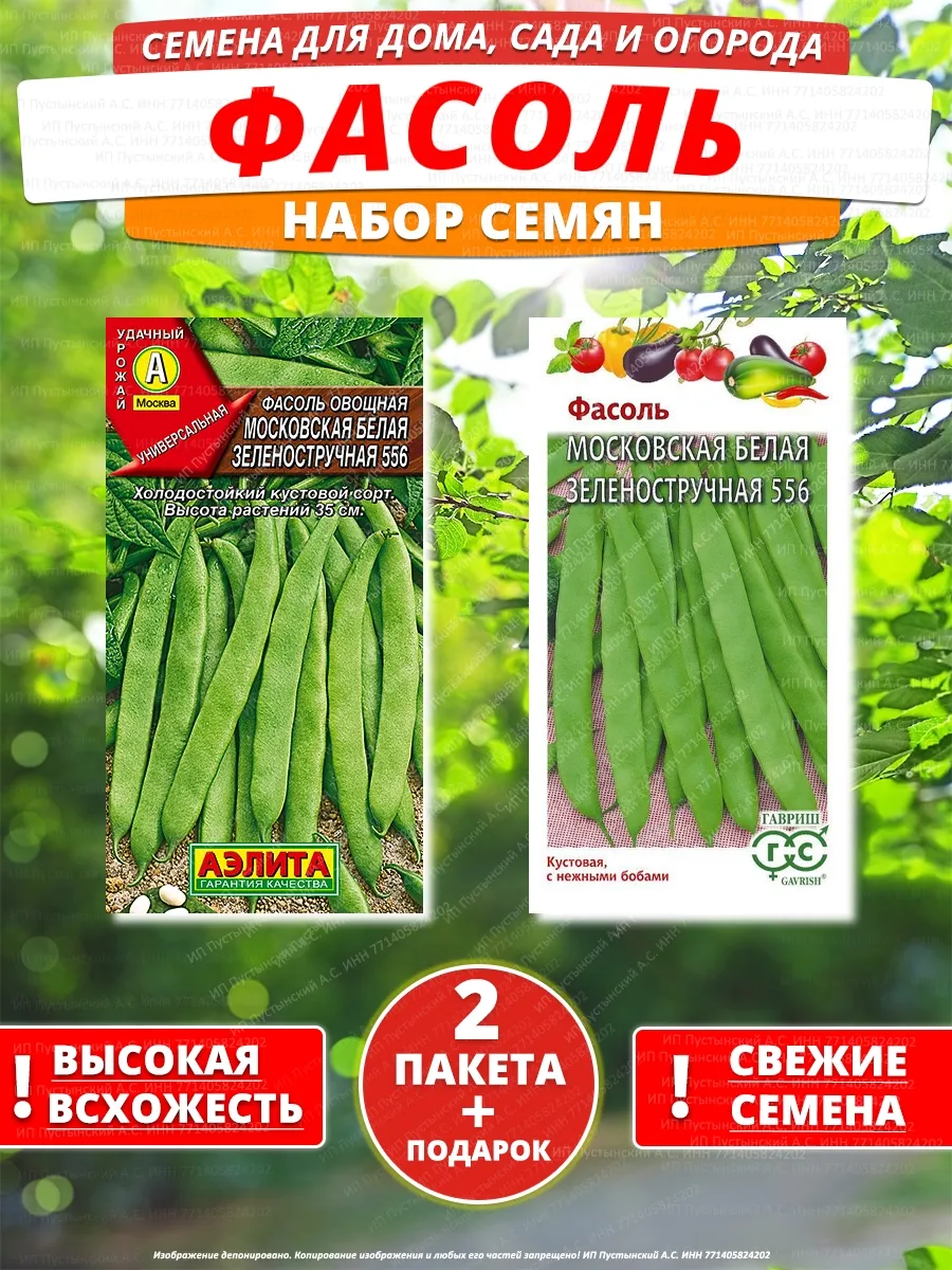 Семена фасоль для дома сада посадки