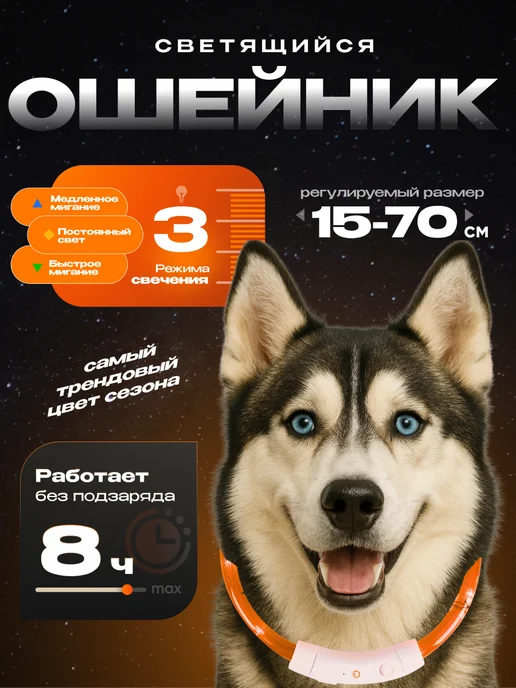 WEBMAG Светящийся ошейник для собак usb с зарядкой, оранжевый