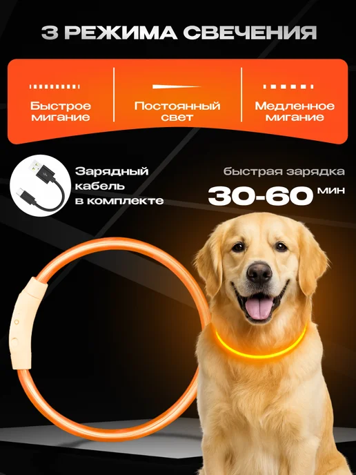 WEBMAG Светящийся ошейник для собак usb с зарядкой, оранжевый, фото 3