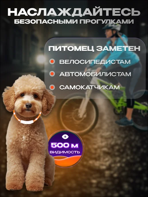 WEBMAG Светящийся ошейник для собак usb с зарядкой, оранжевый, фото 4