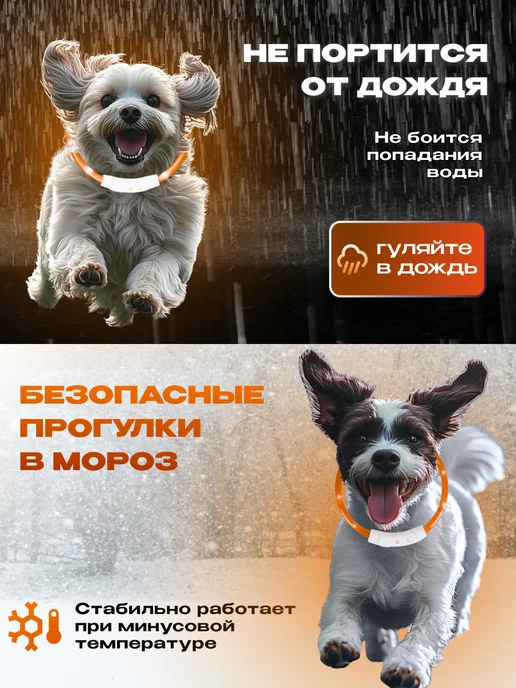 WEBMAG Светящийся ошейник для собак usb с зарядкой, оранжевый, фото 5