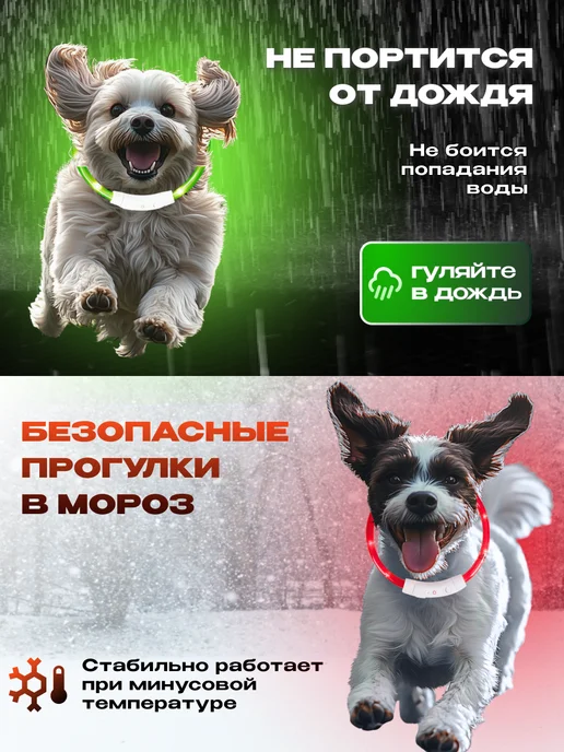 WEBMAG Светящийся ошейник для собак usb с зарядкой, зеленый, фото 3