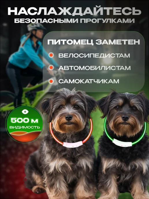 WEBMAG Светящийся ошейник для собак usb с зарядкой, зеленый, фото 4