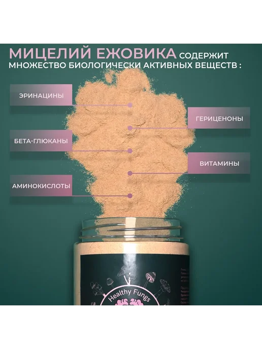 Здоровые Грибы Гриб ежовик гребенчатый мицелий молотый 300гр, 500 г, фото 4