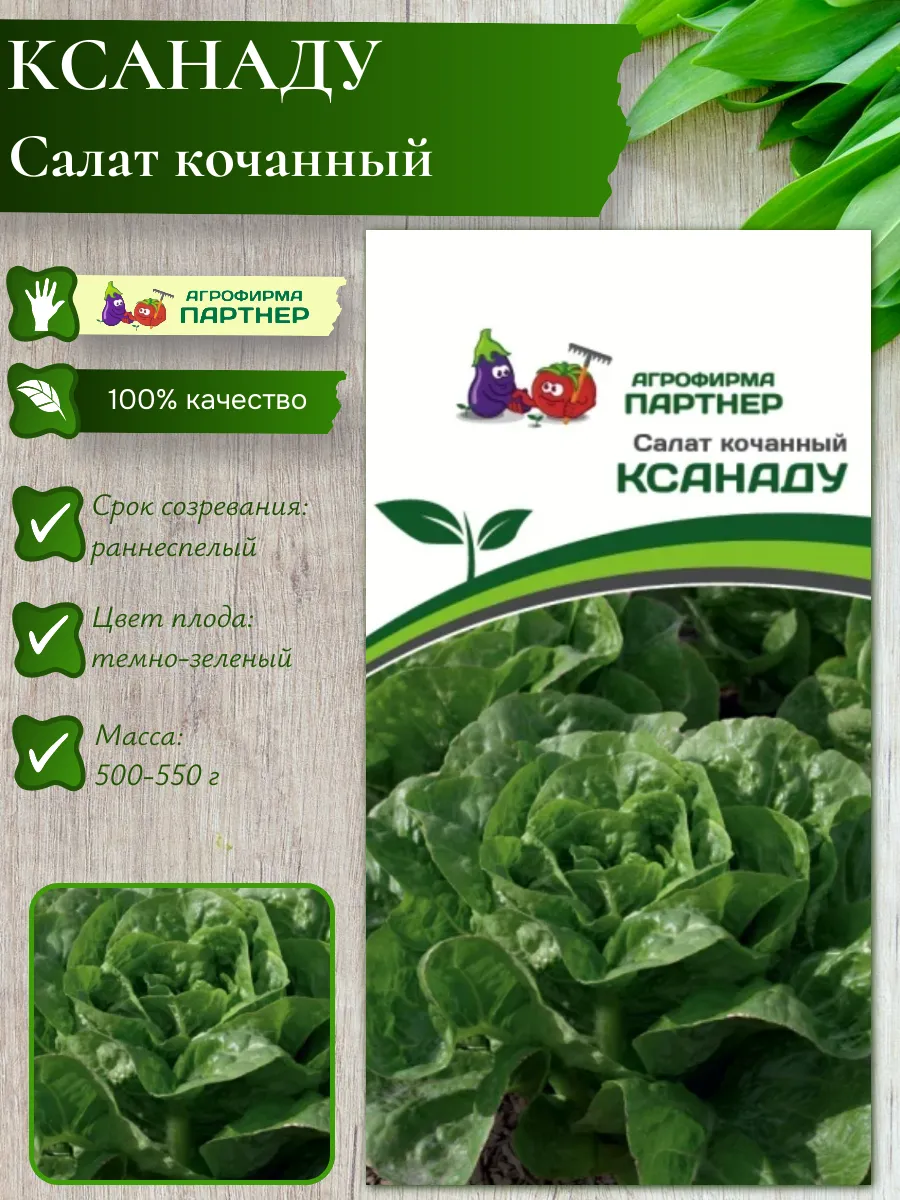 Семена Салат кочанный "КСАНАДУ"