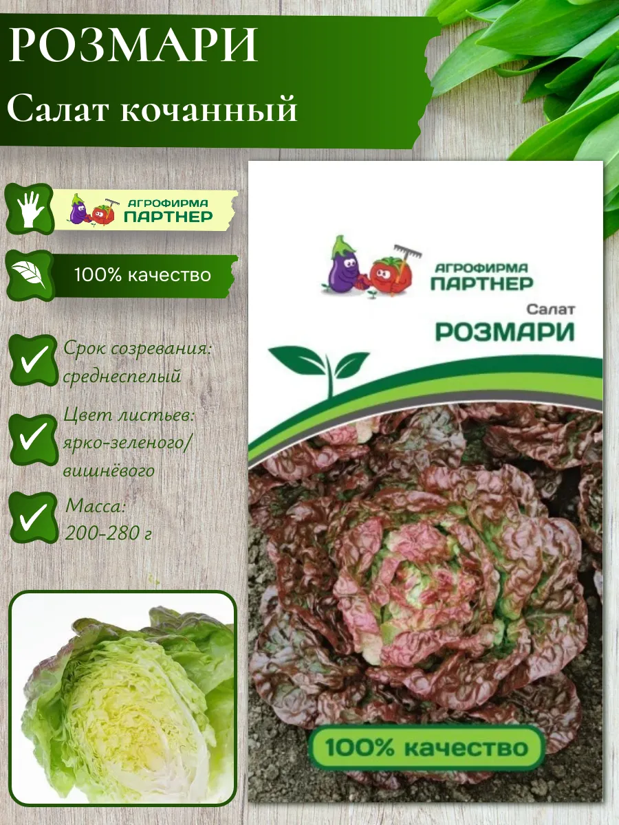 Семена Салат кочанный "РОЗМАРИ"