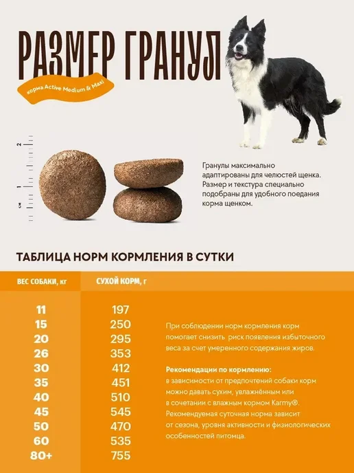 Сухой корм KARMY для собак, крупные, средние, индейка, 2 кг, фото 5