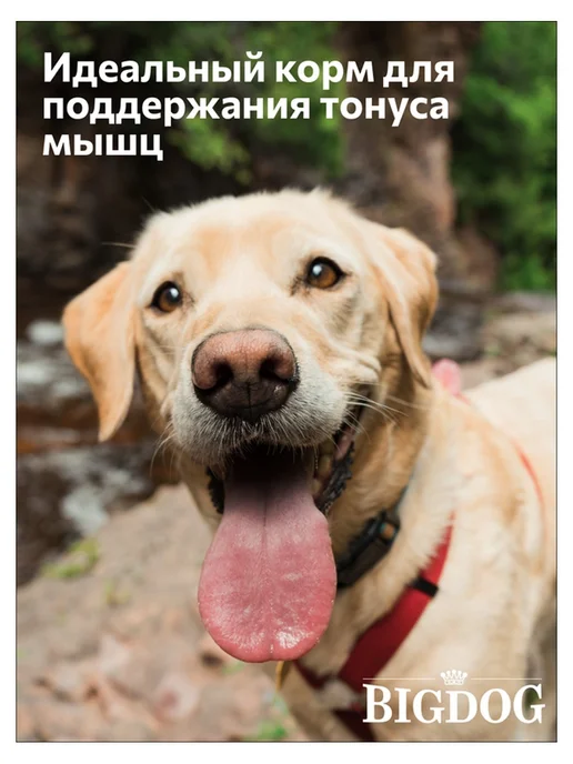 Сухой корм ЗООГУРМАН Big Dog для собак, крупные, 10 кг, фото 2