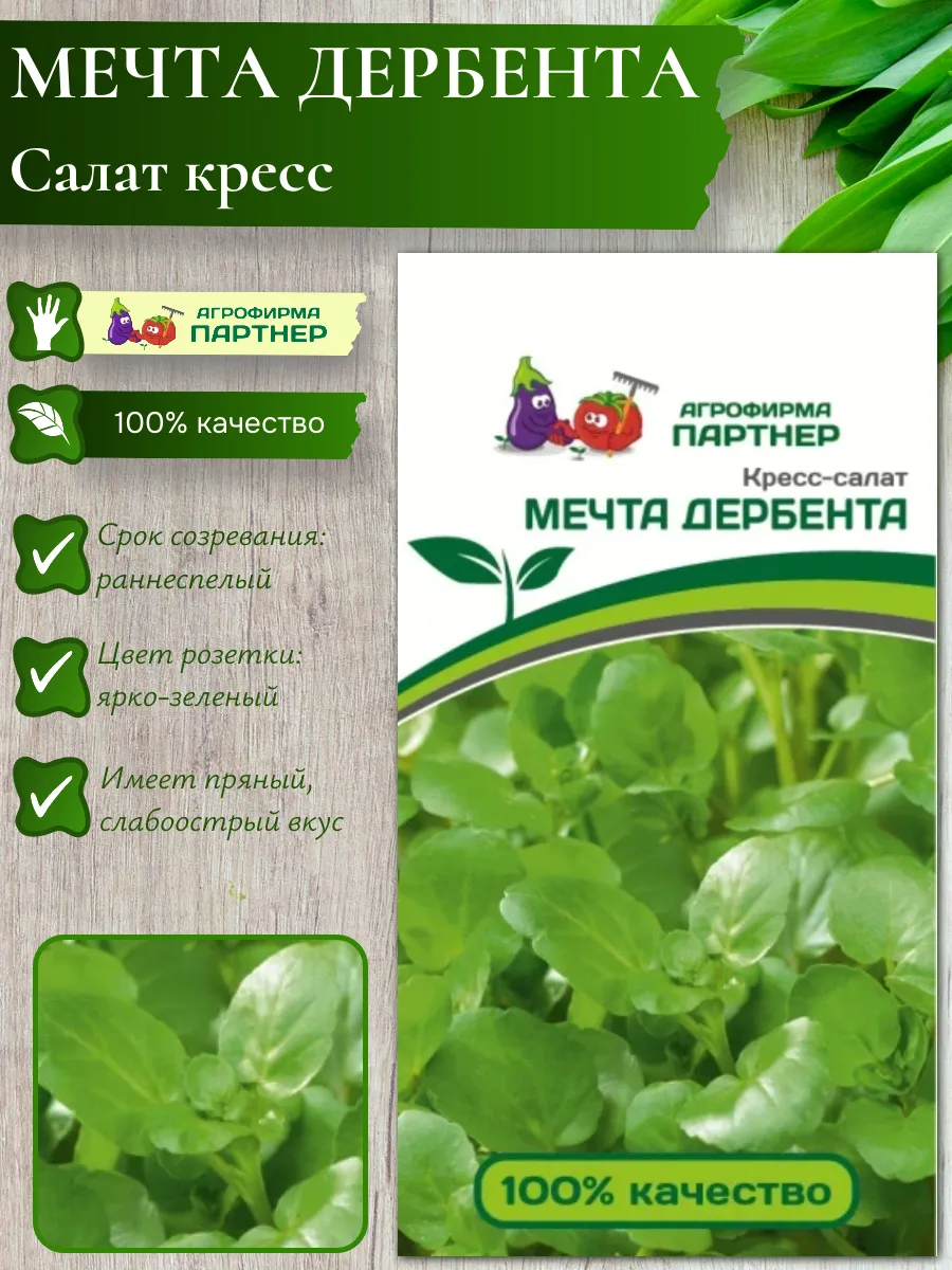Семена Салат кресс "МЕЧТА ДЕРБЕНТА"