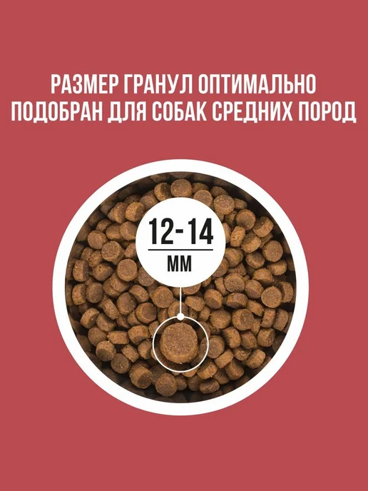 Сухой корм BOWL WOW для собак, средние, индейка, курица, 2 кг, фото 6