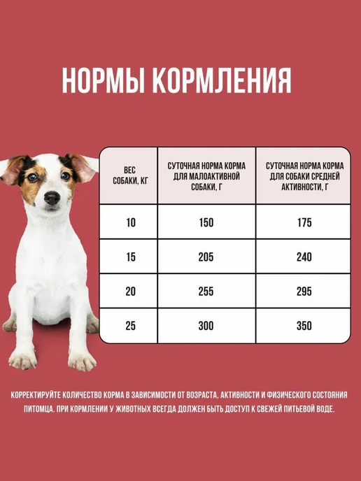 Сухой корм BOWL WOW для собак, средние, индейка, курица, 2 кг, фото 7