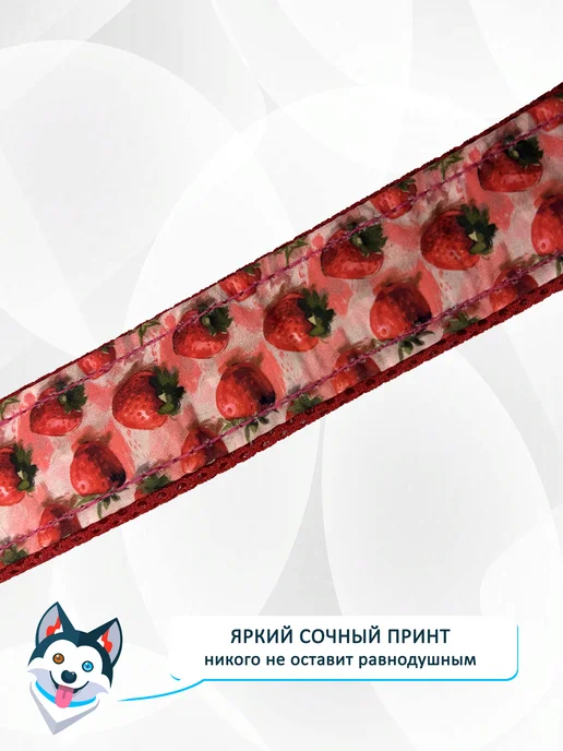 totemica Ошейник для собак "Земляничка" с регулировкой на фастексе, красный, фото 6