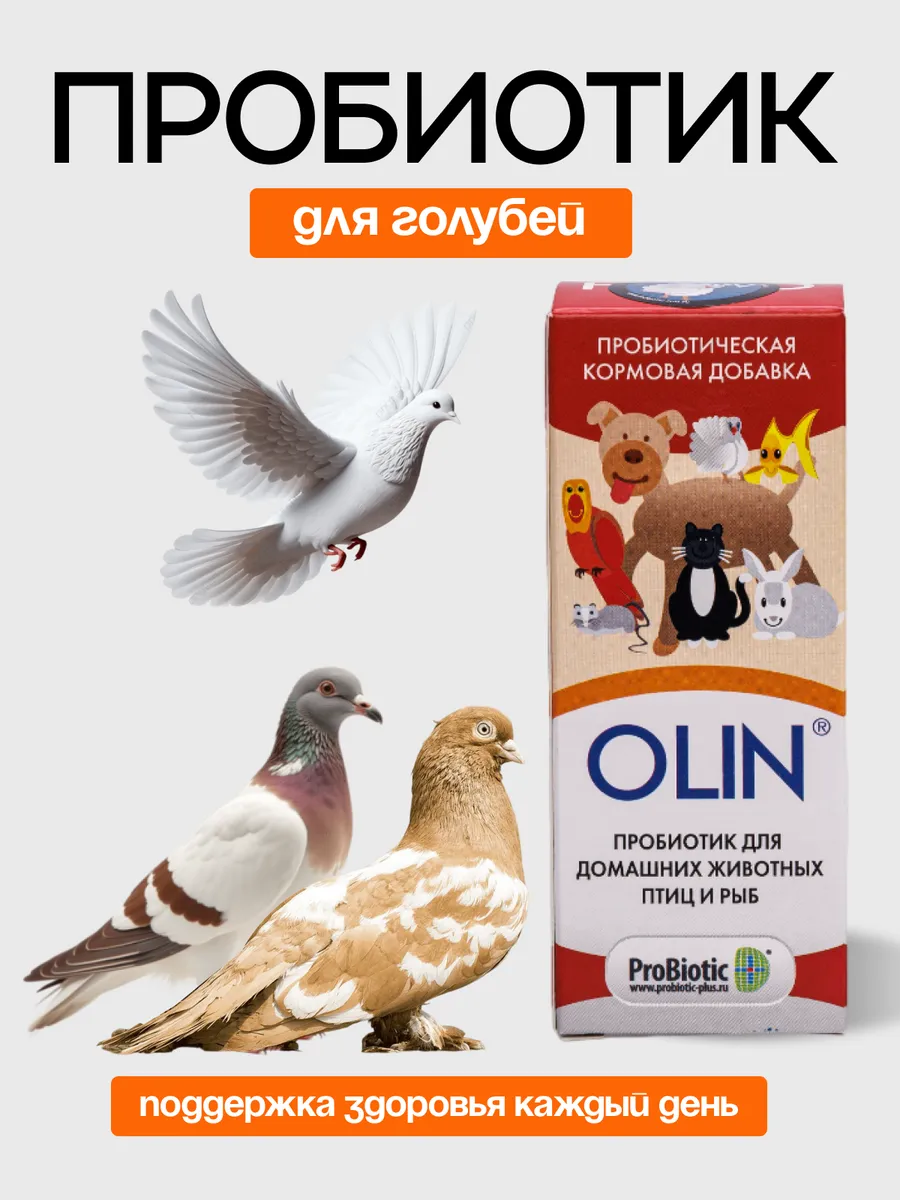 Пробиотик для голубей
