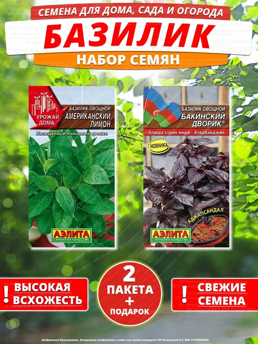 Семена базилик для дома сада посадки, вариант