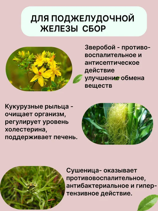 Ларец алтая Для поджелудочной железы травяной сбор 70гр, 70 г, фото 2