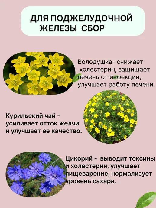 Ларец алтая Для поджелудочной железы травяной сбор 70гр, 70 г, фото 3