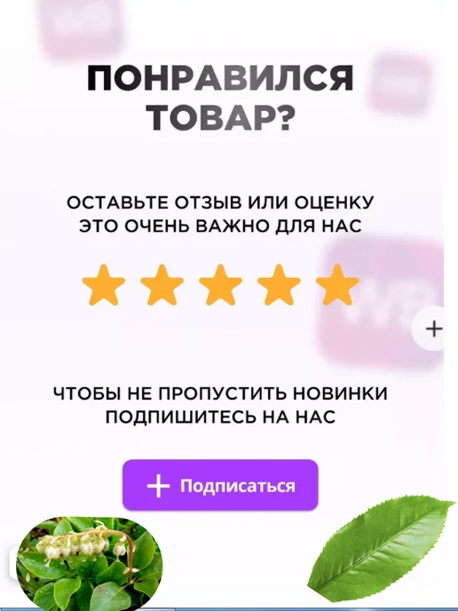 Ларец алтая Для поджелудочной железы травяной сбор 70гр, 70 г, фото 5