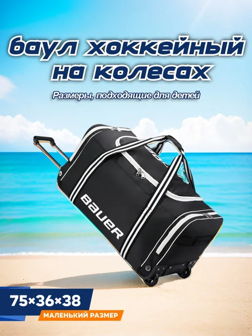 Хоккейный баул на колесах 75×36×38, 75x36