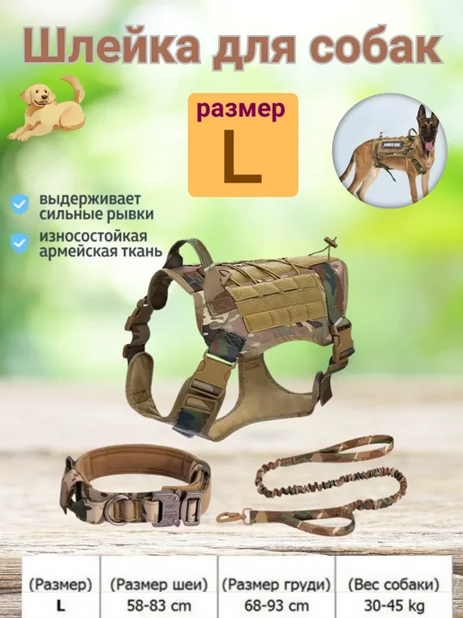 Шлейка для собак с ошейником и поводком, зеленый