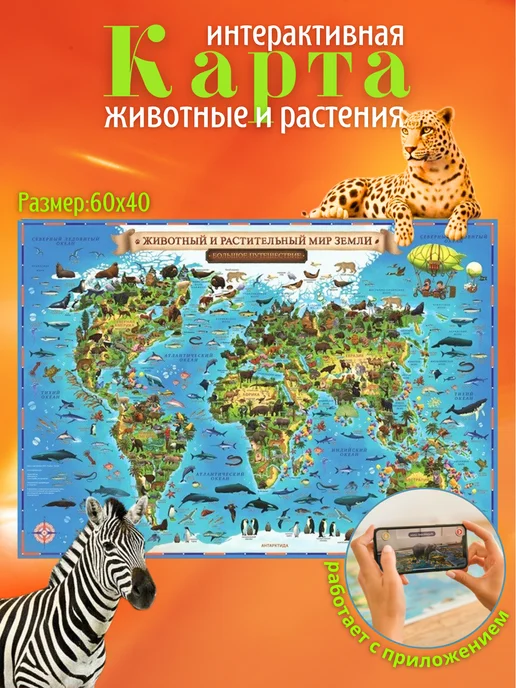 Globen Карта Мира Животный и растительный мир Земли, 60х40 см, 60x40 см