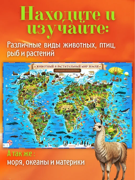 Globen Карта Мира Животный и растительный мир Земли, 60х40 см, 60x40 см, фото 2