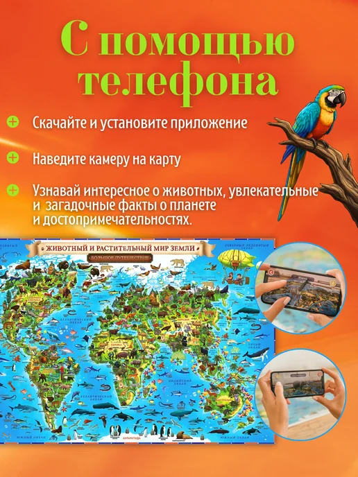 Globen Карта Мира Животный и растительный мир Земли, 60х40 см, 60x40 см, фото 3
