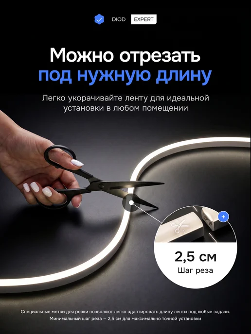 DiodExpert Светодиодная неоновая лента гибкий неон 5 метров с пультом, 5 м, фото 2