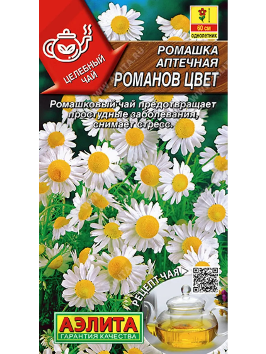 Ромашка Романов цвет аптечная