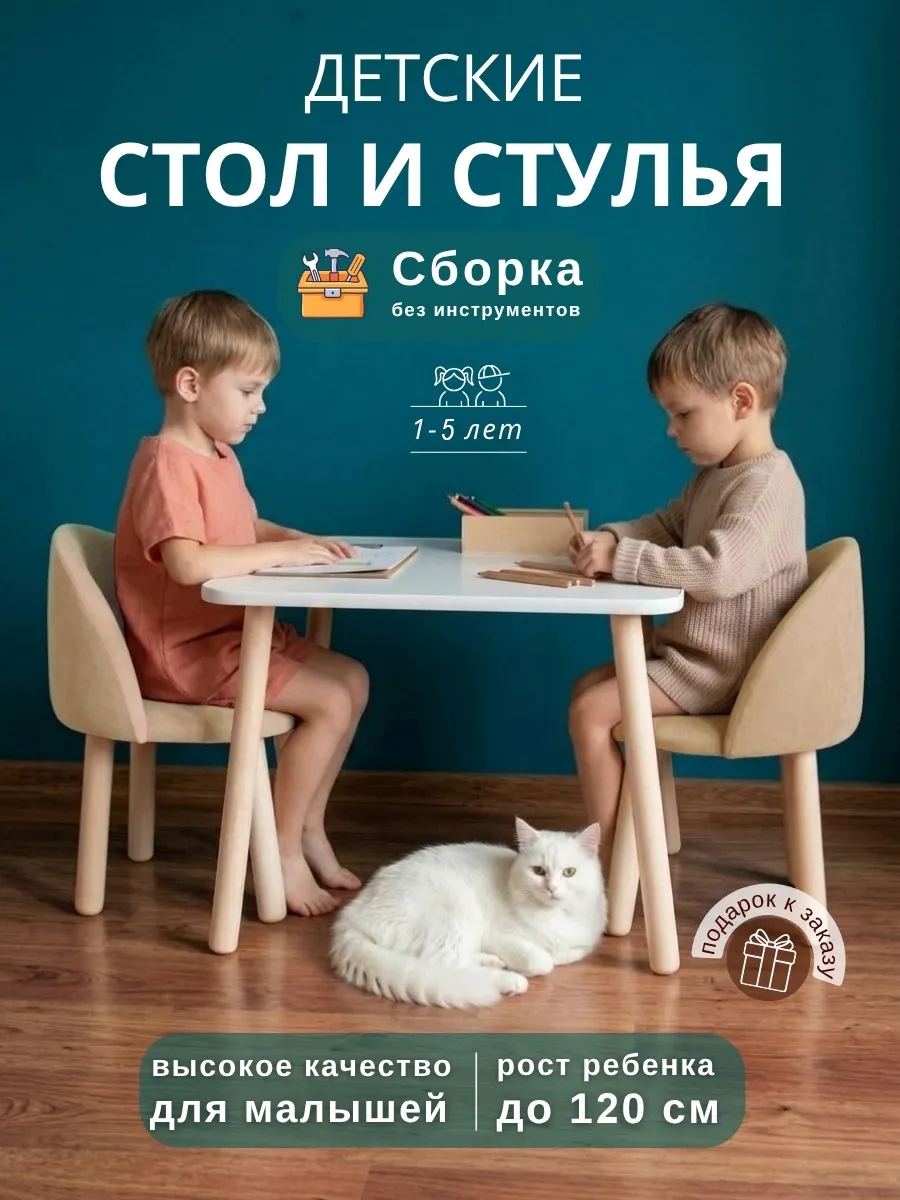 Стол прямоугольный и два стула мягких