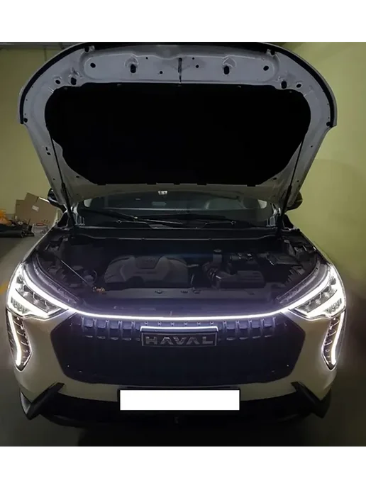 AVAG Светодиодная LED лента для капота KIA Sportage III, вариант